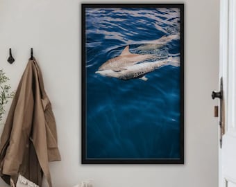 Ocean Embrace | Dolphin Wildlife Photography | Deep Blue Wall Art | Digital Download