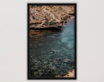 Sea Lions in Crystal Waters - Printable Photography | South Australian Coastal Wall Art | Digital Download