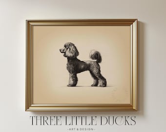 May include: A framed print featuring a detailed charcoal drawing of a black poodle in a standing pose. The artwork is set against a beige background and framed in a gold-colored frame. The text "THREE LITTLE DUCKS - ART & DESIGN" is at the bottom.