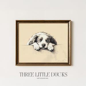 Vintage Border Collie Sketch Art - Rustic Dog Wall Printable, Charming Farmhouse Decor, Cottagecore Pet Portrait, Digital Download 224