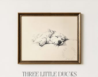 May include: A framed black and white art print of a sleeping dog. The dog is lying on a pillow, with its eyes closed. The frame is a dark brown color. The text "THREE LITTLE DUCKS - ART & DESIGN" is at the bottom.