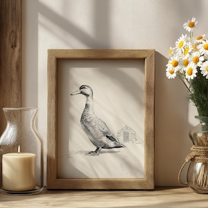 Vintage Runner Duck Sketch - Minimalist Printable Wall Art, Rustic Cottagecore Decor, Duck and Duck House Drawing, Digital Print 384