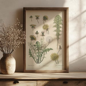 May include: A framed botanical print of dandelions in various stages of growth. The print features detailed illustrations in green, yellow, and brown, set against a cream background. The wooden frame adds a rustic touch. A vase with dried flowers sits on a wooden table.