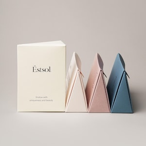 50 Stück Estsol Verpackung Papiertüte Boxen faltbar zur Schnellmontage CS-04