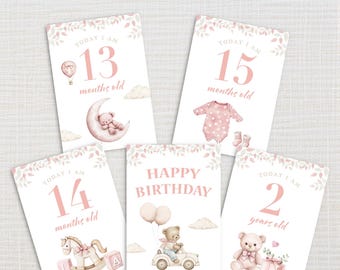 13 to 24 Months Pink Baby Milestone Cards – Printable Monthly Photo Props – Second Year – Instant Download
