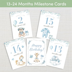 May include: A collection of baby milestone cards for ages 13-24 months. Each card has a watercolour illustration and text. Designs include a teddy bear, baby clothes, a rocking horse, a giraffe, and an elephant. The cards are decorated with blue accents and floral elements.