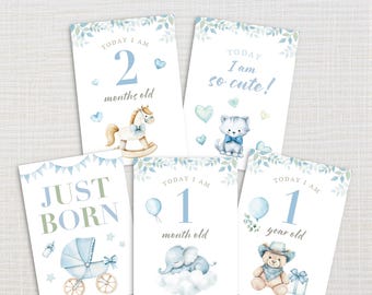 Blue Baby Milestone Cards – Printable Monthly Photo Props – Newborn to 1 Year – Boy Baby Shower Gift – Instant Download