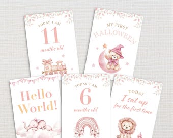 Baby Milestone Cards, Pink, Baby Girl– Printable Monthly Photo Props – Newborn to 1 Year – Baby Shower Gift – Instant Download