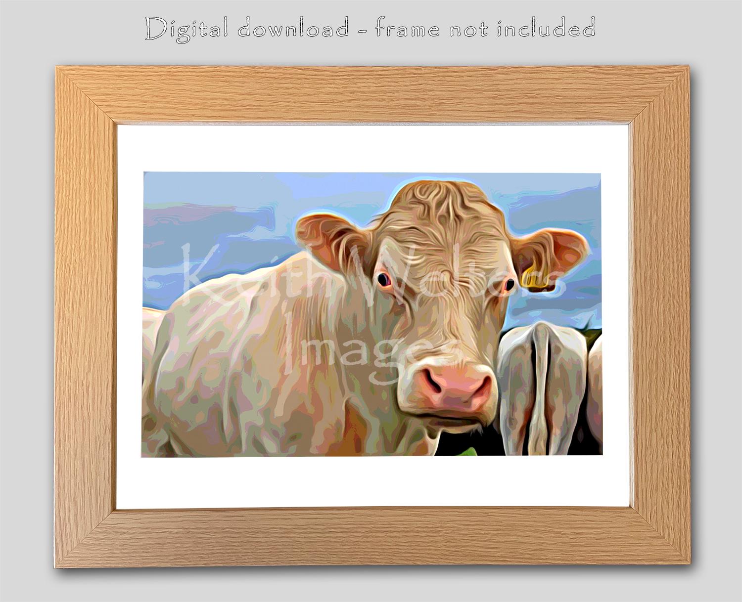 Those of you who have been following the page for a long time, or who know  the local area, will already know Shulista is a very windy spot. The Isle  of Skye, image size:1500x1218