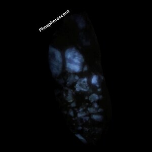 May include: A dark image of a rock with a glowing, blue, phosphorescent effect. The word "Phosphorescent" is written in white at the top left of the image. The rock has a rough texture.