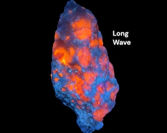 Fluorescent Hackmanite Sharp Colour Change & Phosphorescent Unique Specimen @AFG (192gm  155mm)