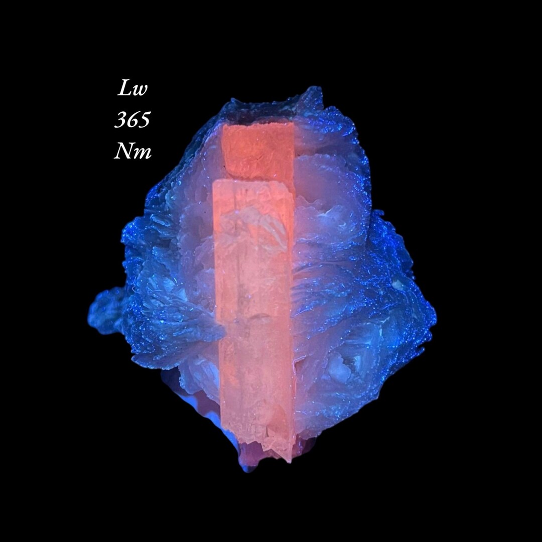 Fluorescent Pink Natural Kunzite Crystal on Albite Matrix Specimen 373 ...
