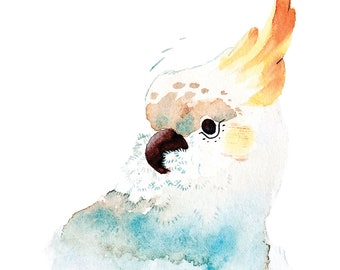 Cockatoo Bird Giclee Print (Limited Edition of 20)