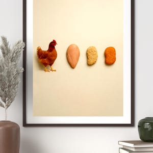 Funny Chicken Art, Egg to Chicken Evolution Print, Chicken Life Cycle Art, Nursery Wall Art, Digital Educational Decor