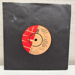 May include: A vinyl record in a black sleeve. The record label is orange and red, featuring the text "I Could Be So Good For You" and "Dennis Waterman with the Dennis Waterman Band."