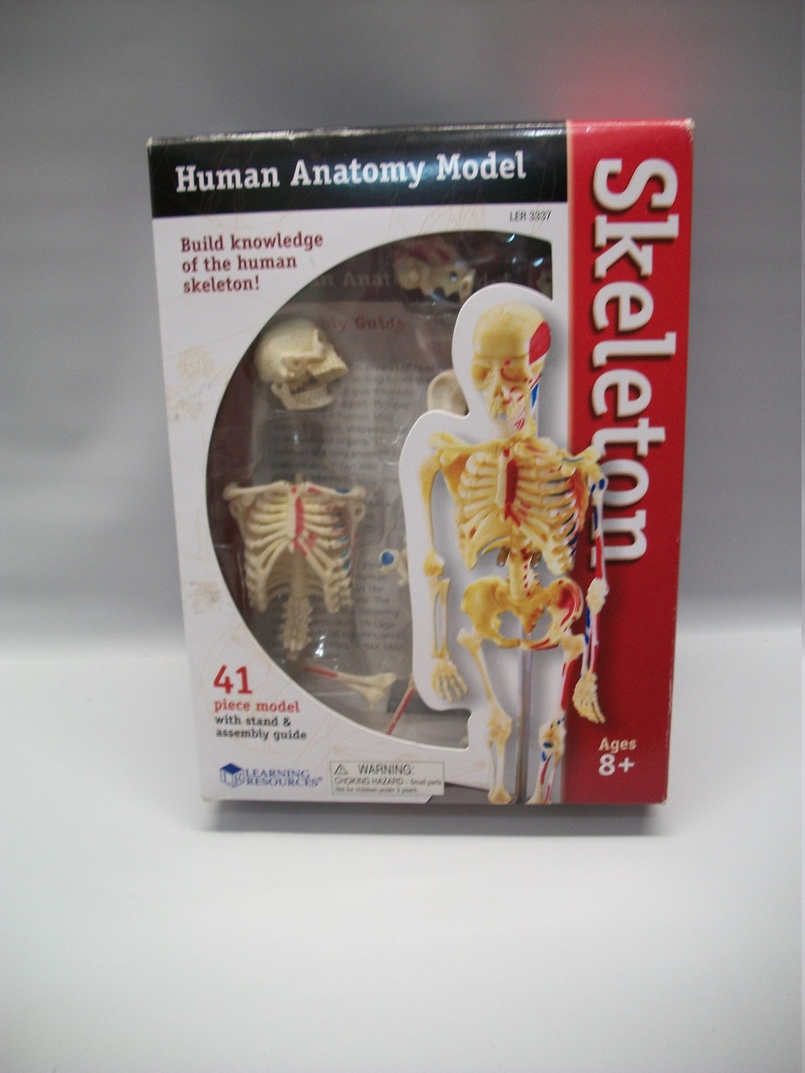 Human Anatomy model kit Human Skeleton Kit Learning Etsy