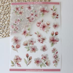 Könnte beinhalten: Ein transparenter Bogen mit Bügelbildern, der verschiedene rosa Kirschblüten-Cluster, Knospen und grüne Blätter im Aquarellstil zeigt. Die Kopfzeile lautet Iron on - Bügelbilder und die Fußzeile www.musselintraum.de.
