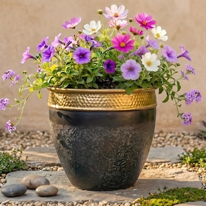 May include: A black flower pot with a gold rim, filled with a vibrant mix of purple, pink, and white flowers. The pot sits on a stone path, surrounded by small stones and greenery.