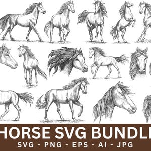 Bundle SVG cheval, vecteur de cheval, Silhouette de cheval, fond Transparent, Clipart cheval, animal PNG, fichiers svg, fichiers svg cricut, téléchargement numérique