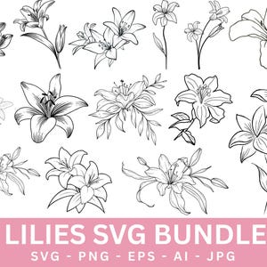 May include: A collection of black and white line drawings of lilies, featuring different arrangements of the flowers. The image includes individual blooms and bouquets. A pink banner at the bottom reads "LILIES SVG BUNDLE".