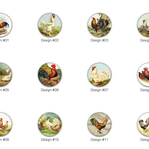 May include: A collection of twelve round decorative buttons, each featuring a different vintage illustration of a rooster or chickens. The designs include various colors and poses, with the text "Design #" followed by a number.
