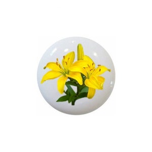May include: A close-up of a yellow lily flower with green leaves. The flower is in focus and the background is blurred.