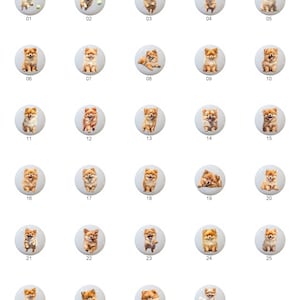 May include: A set of 29 round, white ceramic ornaments featuring a variety of adorable Pomeranian dog illustrations. Each ornament features a different pose of the dog, including sitting, standing, and playing with a ball. The ornaments are perfect for adding a touch of whimsy to any Christmas tree or home decor.