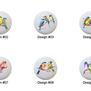 May include: A collection of ten white ceramic cabinet knobs, each featuring a unique watercolor design of colorful birds perched on a branch. Each knob is labeled with a design number from #01 to #10.
