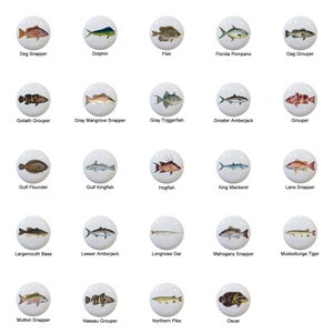 May include: A collection of 20 ceramic tiles featuring colorful illustrations of different fish species, including a dog snapper, dolphin, flier, Florida pompano, gag grouper, goliath grouper, gray mangrove snapper, gray triggerfish, greater amberjack, grouper, gulf flounder, gulf kingfish, hogfish, king mackerel, lane snapper, largemouth bass, lesser amberjack, longnose gar, mahogany snapper, muskellunge tiger, mutton snapper, Nassau grouper, northern pike, and oscar.