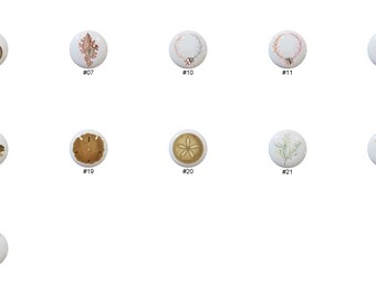 Seashell Turtle Ceramic Dresser Knobs: Beach House Decor