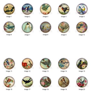Aged Birds from Vintage French Postcards Beautiful Birds by cmc DECORATIVE Ceramic Dresser Drawer PULLS Cabinet Cupboard KNOBS