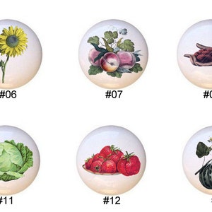 May include: Ten ceramic knobs with various vintage illustrations of fruits, vegetables, and flowers. The knobs are white with a glossy finish.