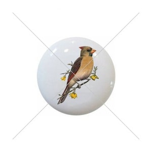 May include: A ceramic knob with a painted image of a brown and red cardinal perched on a branch with yellow flowers.