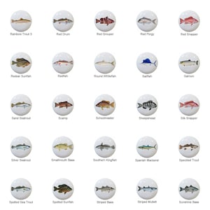 May include: A collection of 25 white ceramic tiles, each featuring a different type of fish. The fish are painted in realistic detail and are surrounded by a white border. The tiles are arranged in a grid pattern.