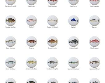 Realistic Fish Ceramic Drawer Pulls: Fishing Decor, P-S