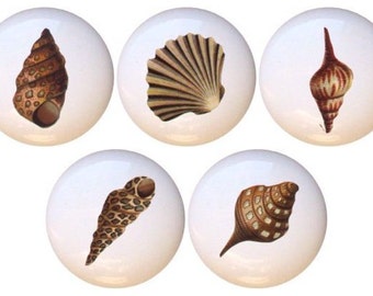 Set of 5 - Seashells by FI Decorative Glossy Ceramic Drawer Pulls Dresser Knobs