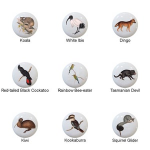 May include: A collection of white cabinet knobs, each featuring a different Australian animal illustration. Animals include a platypus, koala, white ibis, dingo, wombat, kangaroo, red-tailed black cockatoo, and more. These knobs are perfect for adding a unique touch to furniture.
