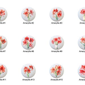 May include: A collection of white ceramic cabinet knobs, each featuring a watercolor illustration of red amaryllis flowers. The knobs are labeled with numbers, showcasing different floral arrangements.