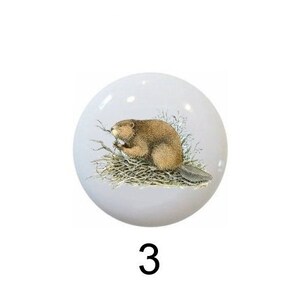 Beaver Images on 1.5" DECORATIVE Glossy Ceramic Dresser Drawer PULLS Cabinet Cupboard KNOBS