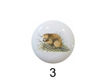 Beaver Images on 1.5" DECORATIVE Glossy Ceramic Dresser Drawer PULLS Cabinet Cupboard KNOBS