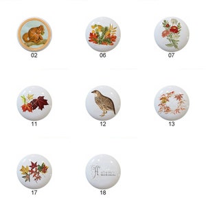 May include: Set of 18 ceramic knobs featuring autumn-themed designs.  The knobs feature images of leaves, animals, and the word "Autumn".