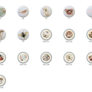 May include: Assortment of round ceramic knobs with various spring-themed designs, including birds, bunnies, bees, and flowers. The knobs are white with blue trim and feature a variety of colors and patterns.