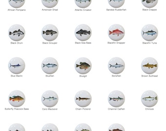 Realistic Fish A thru C Fishing DECORATIVE Ceramic Dresser Drawer PULLS Cabinet Cupboard KNOBS