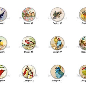 May include: A collection of twelve round decorative knobs, each featuring a different vintage-style bird illustration. Designs include various colorful birds in natural settings, with text labels like "Design #1" through "Design #12".
