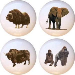 May include: Set of eight ceramic knobs featuring different animal illustrations. The animals include a zebra, a yak, a musk ox, an elephant, a rhinoceros, a gorilla, a gazelle, and an oryx.