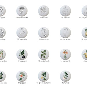 May include: A set of 19 ceramic knobs featuring black and white illustrations of various fruits, vegetables, and plants. The knobs are round and have a white background. The illustrations are detailed and realistic.