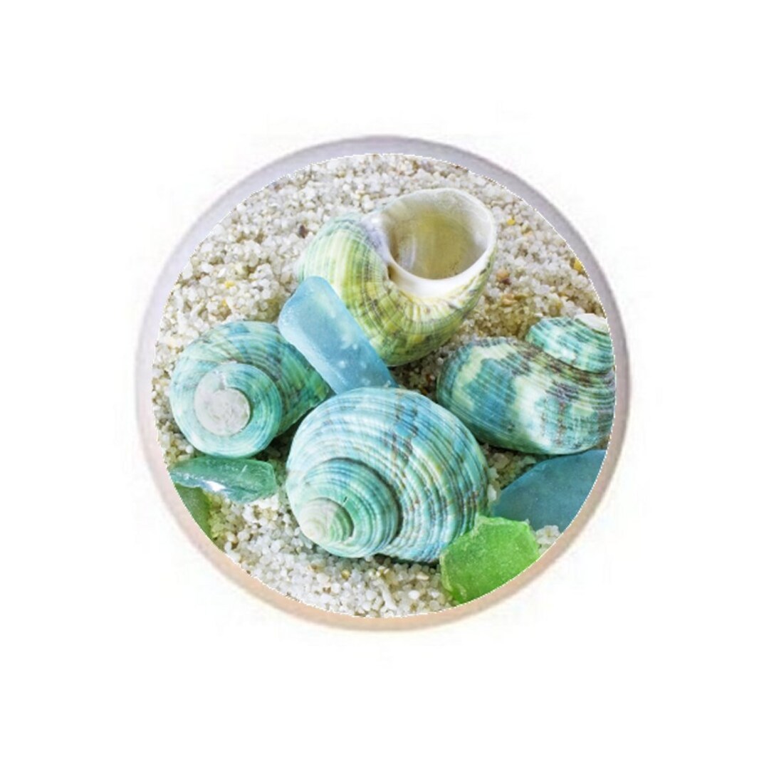 Seashell Ceramic Drawer Pulls: Beach Coastal Cabinet Knobs Etsy