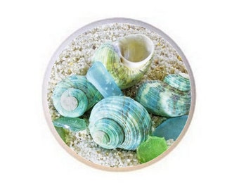 Seashell Ceramic Drawer Pulls: Beach Coastal Cabinet Knobs