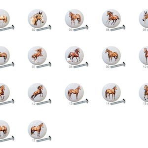Brown Horse Horses Equine Equestrian Collection by yaw Images on 1.5&quot; DECORATIVE Glossy Ceramic Dresser Drawer PULLS Cabinet Cupboard KNOBS