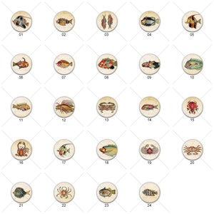 May include: A collection of 24 circular vintage-style illustrations of various fish and crustaceans. Each image is numbered from 01 to 24 and features detailed drawings with a sepia-toned background, showcasing a variety of marine life.